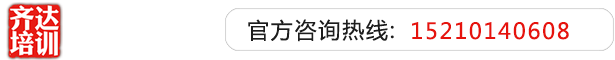 操黑逼网站免费齐达艺考文化课-艺术生文化课,艺术类文化课,艺考生文化课logo